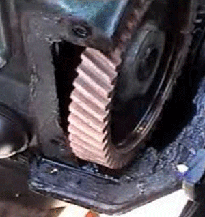 DVD - Replace your Timing Gear while on the road